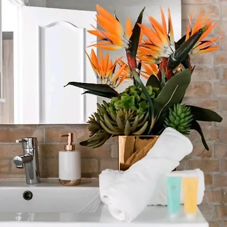 Apartment Piso En El Corazon De License Ess00262 *