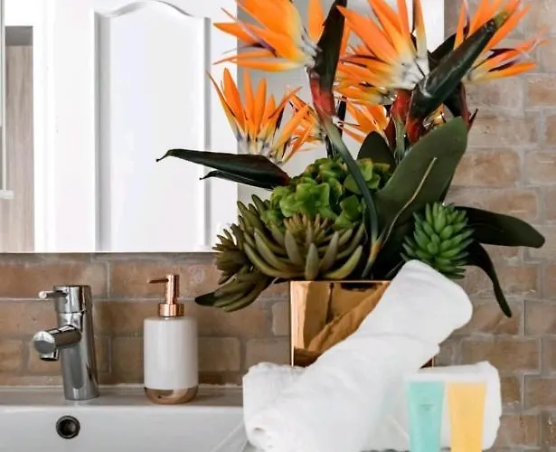 Apartment Piso En El Corazon De License Ess00262 *